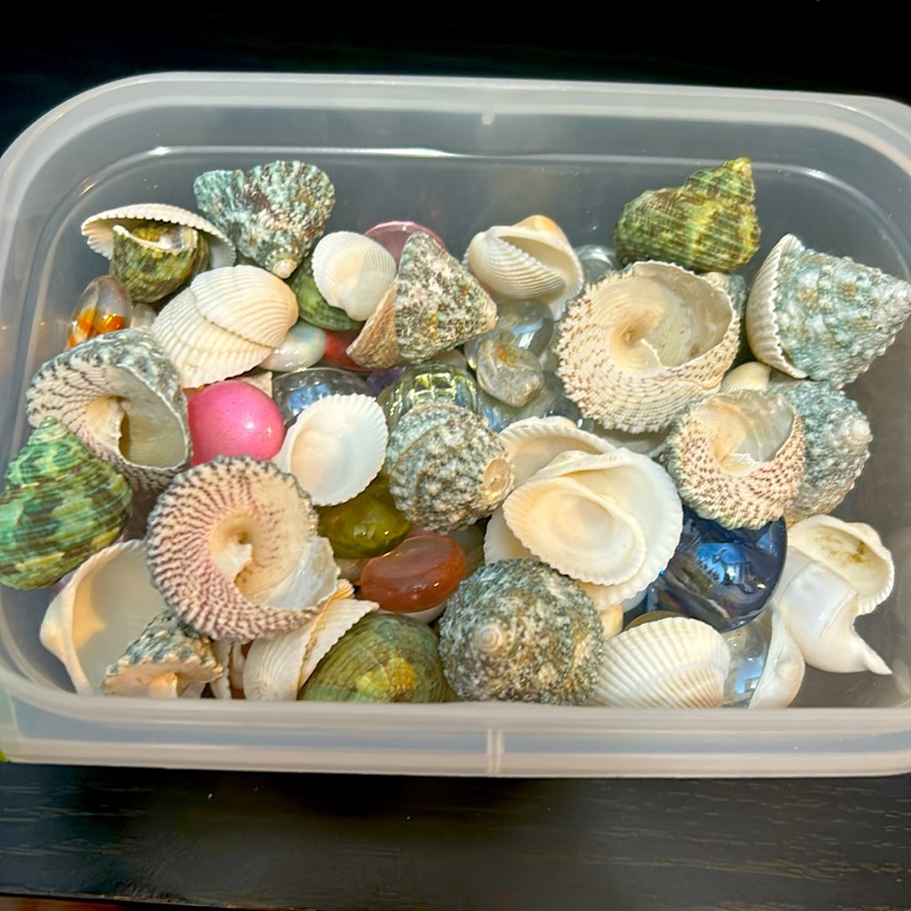 Box of crafting shells and jewels!🐚